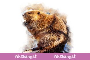 American Beaver Watercolor Art & Illustrations