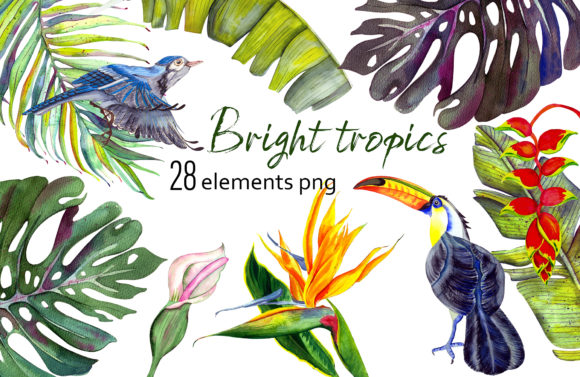 Bright Tropics Watercolor