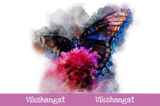 Butterfly Watercolor Art and Illustrations