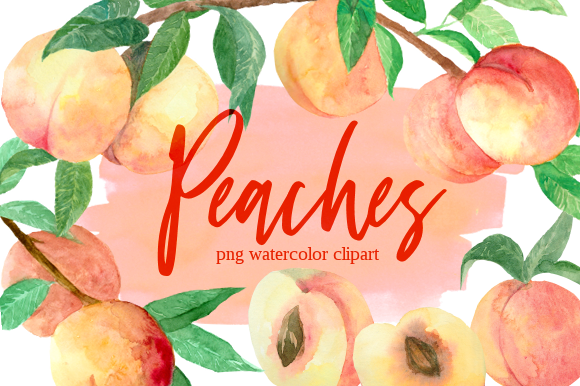Peach Branches Watercolor Clipart Set and Illustrations