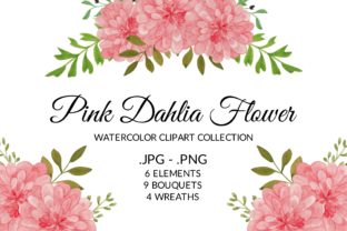 Pink Dahlia Flower Watercolor Clipart & Illustrations