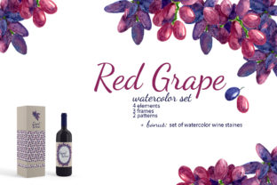 Red Grape Watercolor Illustrations
