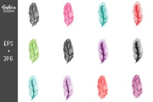 Set of Watercolor Feathers Illustration
