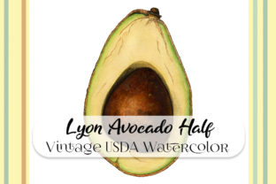 Vintage Lyon Avocado Half Watercolor