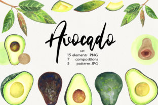 Watercolor Avocado Clip Art and Illustrations