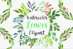 Watercolor Botanical Leaves Clipart and Illustrations