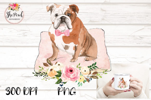 Watercolor Bulldog Transparent Illustrations