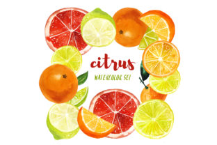 Watercolor Citrus Fruits Illustrations