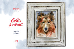 Watercolor Collie Portrait Illustrations