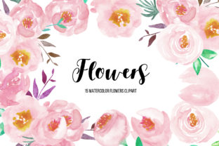 Watercolor Flower Peonies Clipart and Illustrations
