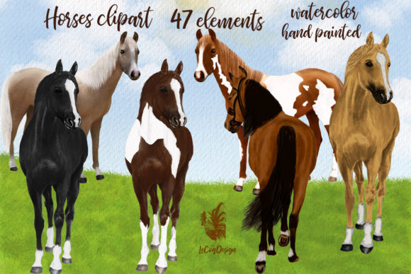 Watercolor Horse Clipart, Illustrations