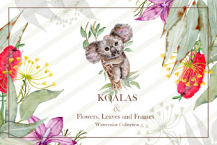 Watercolor Koala Collection & Illustrations