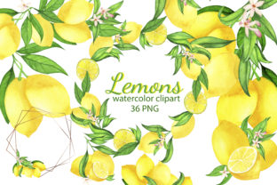 Watercolor Lemon Clipart, Lemon Frame Illustrations