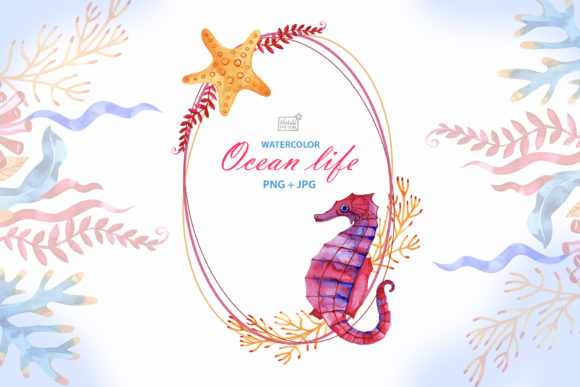Watercolor Ocean Life Illustrations