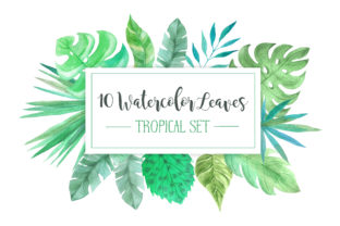 Watercolor Tropic Leaves Set Illustrations