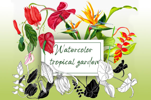 Watercolor Tropical Flowers