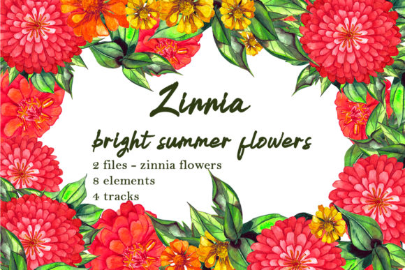 Watercolor Zinnia Set of Clip Art and Illustrations